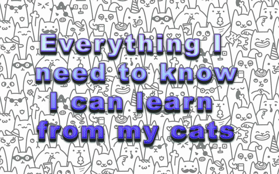 Everything I Need To Know I Can Learn From My Cats