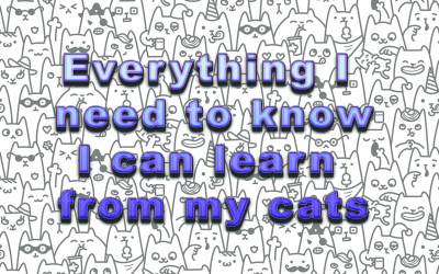 Everything I Need To Know I Can Learn From My Cats