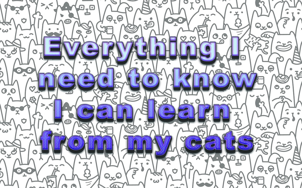 Everything I Need To Know I Can Learn From My Cats by @markc_author #cats #pets #lifelessons 